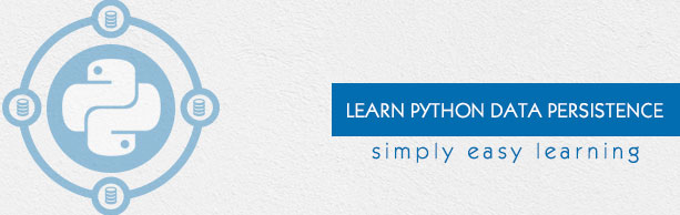 Python 数据持久化教程